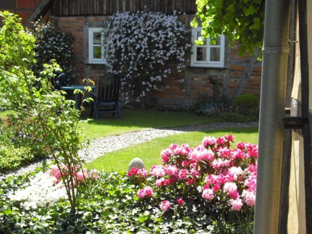 Landhaus Kiesow Suderburg Buitenkant foto