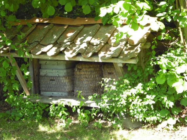 Landhaus Kiesow Suderburg Buitenkant foto